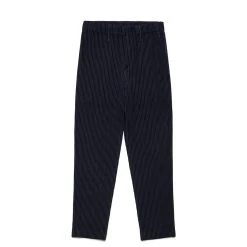 Homme Plissé Issey Miyake BASICS