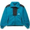 The North Face WOMEN'S 94 SHERPA DENALI JACKET