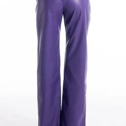 BOSS UP FAUX LEATHER PANTS -helmut shop boss up faux leather pants purple 7 7