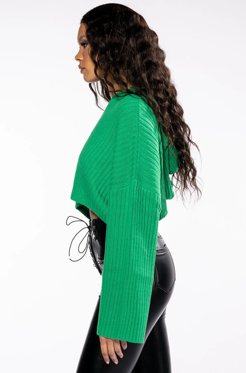 HAPPY GO LUCKY HOODED CROPPED SWEATER 8 HAPPY GO LUCKY HOODED CROPPED SWEATER - Image 6
