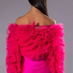 SOUND OFF TULLE RUFFLE LONG SLEEVE CROP BLOUSE -helmut shop sound off tulle ruffle long sleeve crop blouse pink 5 5