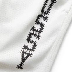 Stüssy COLLEGIATE MESH SHORT -helmut shop stussyCOLLEGIATEMESHSHORTWHITES112274 3