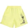 Stüssy SMOOTH STOCK WATER SHORT -helmut shop stussysmoothstockwatershortlimem113133 1