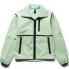 The North Face WOMEN'S RMST DENALI JACKET